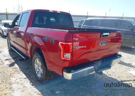 2015 Ford F-150 Xlt z USA, uszkodzony, nr VIN 1FTEW1EF3FKD16139